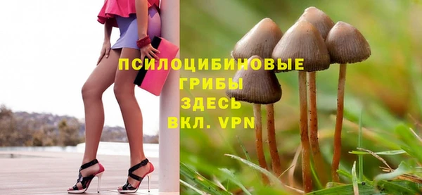 mix Козельск