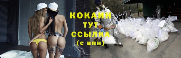 mix Козельск