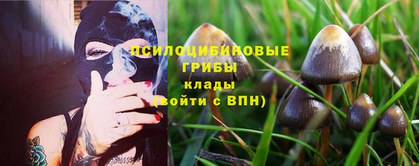 mix Козельск
