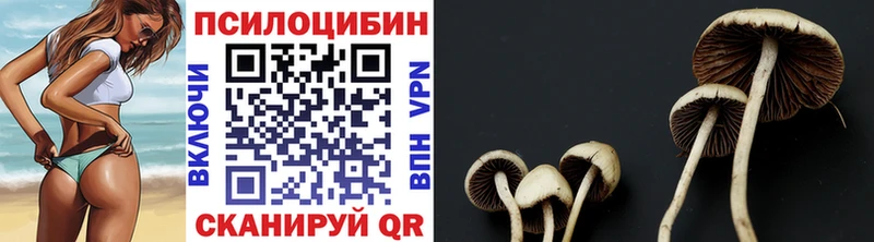 Купить где  Бавлы  Псилоцибиновые грибы мицелий 